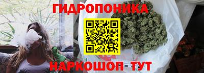 гашишное масло Можга