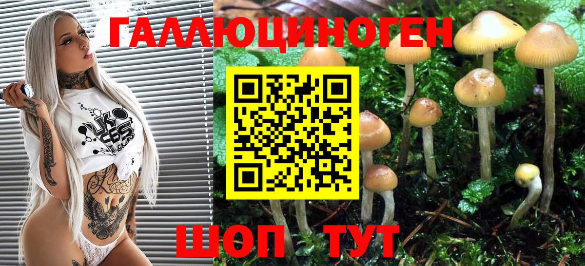 Сатка  Псилоцибиновые грибы Magic Shrooms  Вход с VPN 